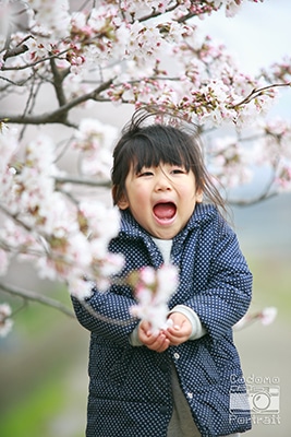子供　望遠レンズ　桜